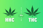 HHC vs THC: ¿Cuáles son las similitudes y diferencias clave?