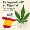 ¿Es legal el HHC en España? Guía actualizada según el BOE