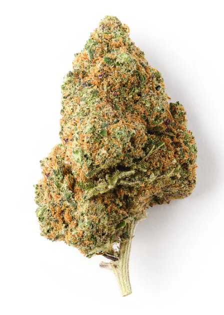 BLUEBERRY CBD - 6 G