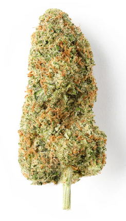 CHEESE CBD - 5 G