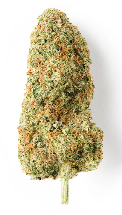 CHEESE CBD - 5 G