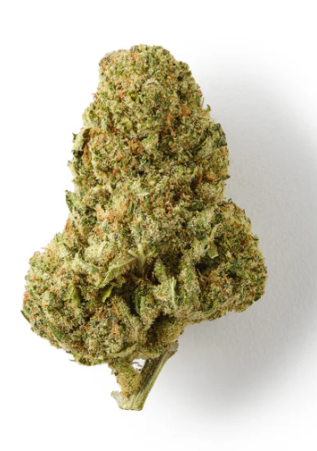FORBIDDEN FRUIT CBD - 6 G