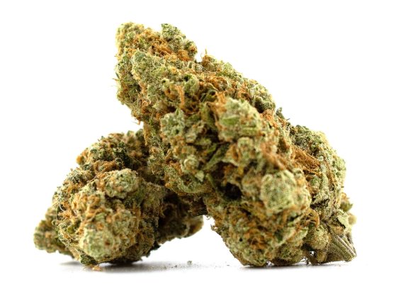 FLORES DE 10-OH-HHC - AMNESIA HAZE 3 G