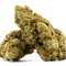 Flores THC-X