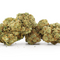 NUEVOS CANNABINOIDES