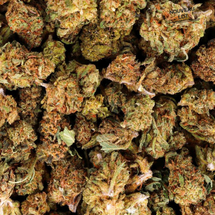 Mini Buds CBD Amnesia 25g Taboga – Flores naturales de cáñamo con aroma cítrico, herbal y equilibrado