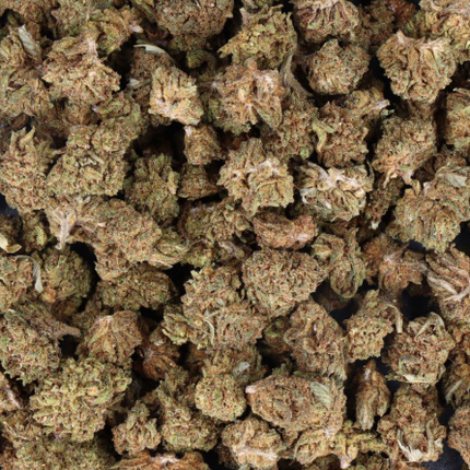 Mini Buds CBD Fanta 25g Taboga – Flores naturales de cáñamo con aroma cítrico y afrutado