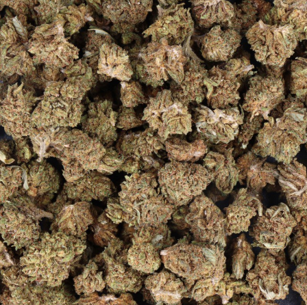 Mini Buds CBD Fanta 5g Taboga – Flores naturales de cáñamo con aroma cítrico y afrutado