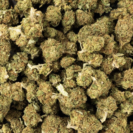 Mini Buds CBD Tutti Frutti 5g Taboga – Flores naturales de cáñamo con aroma dulce y afrutado