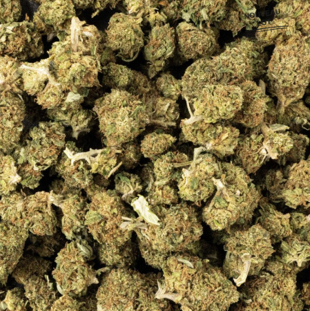 Mini Buds CBD Tutti Frutti 25g Taboga – Flores naturales de cáñamo con aroma afrutado y dulce