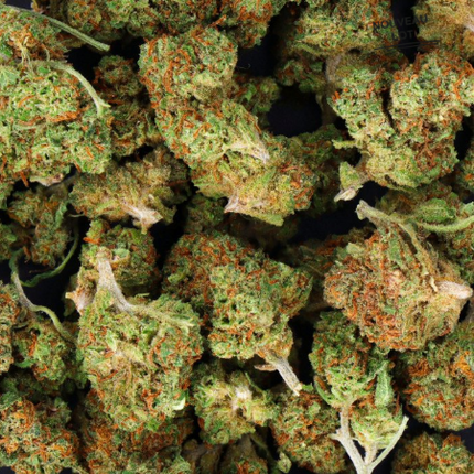 Mini Buds CBD White Widow 25g Taboga – Flores naturales de cáñamo con aroma terroso, cítrico y equilibrado