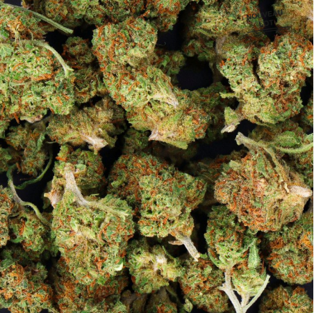  Mini Buds CBD White Widow 5g Taboga – Flores naturales de cáñamo con aroma terroso y cítrico  