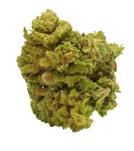 RUNTZ CBD -  6 G