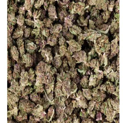 SMALL BUDS PURPLE 5 G - TABOGA