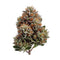Flores de CBD Mandarine Kush 5 g con THC‑X – Línea Hemp‑X de Taboga
