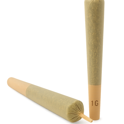 PACK PRE-ROLL HEMP-X (THC-X)