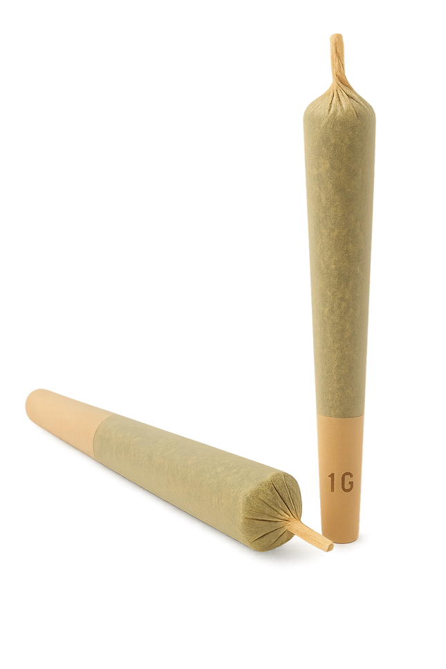 PACK PRE-ROLL HEMP-X (THC-X)